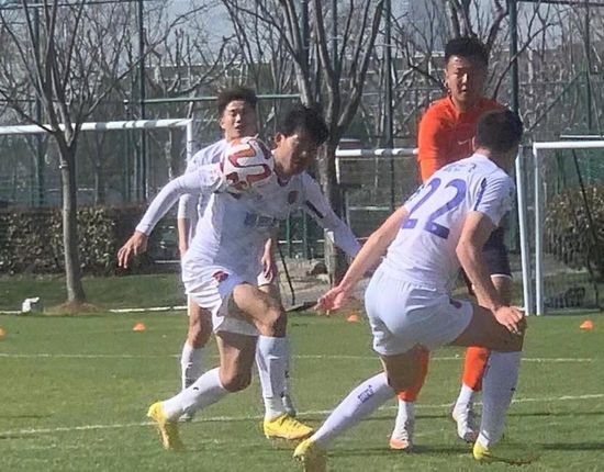 成人在线网